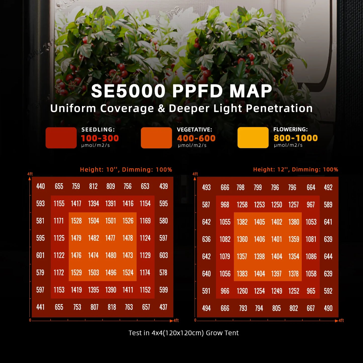 Spider Farmer® SE5000