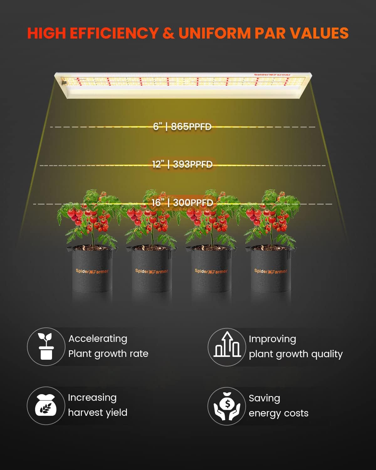 Spider Farmer® SF300