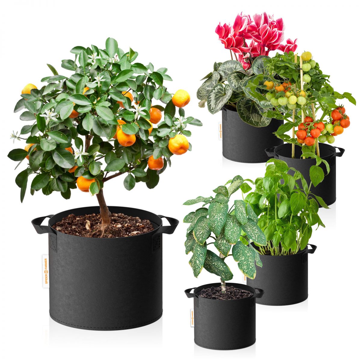 5 x 11 gallon grow bags Heavy Duty 300G Thickened Nonwoven Plant Fabric Pots with Handles