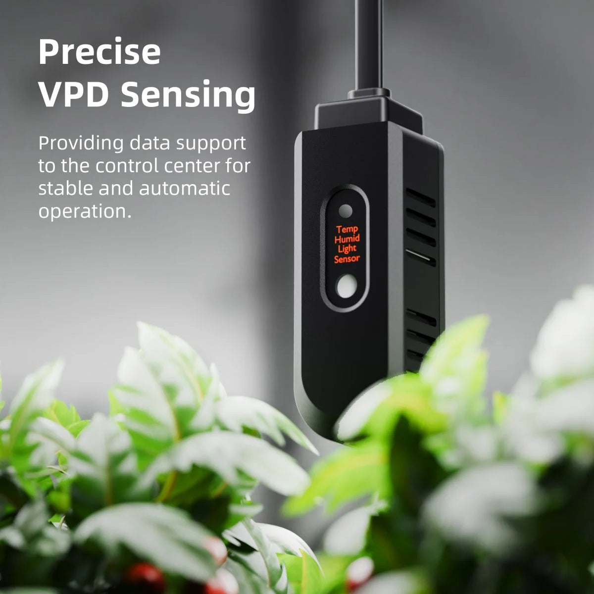 Spider Farmer GGS AC5 Power Strip with 5 Outlets for Grow Tent Climate Control, Featuring Temperature, Humidity, VPD Monitoring, Scheduling, Historical Data Tracking, Bluetooth & WiFi Connectivity