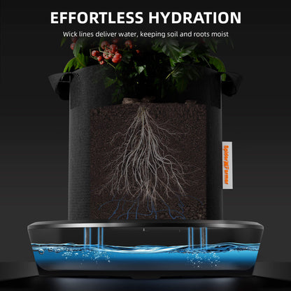 Spider Farmer® 4-Pack Gravity-Fed Silent Self-Watering System Kits for Indoor Grow Tents & Greenhouses