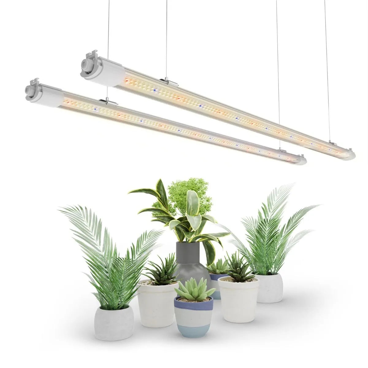 Lampes de culture LED T5 Mars Hydro VG80 pour semis, clonage et végétation