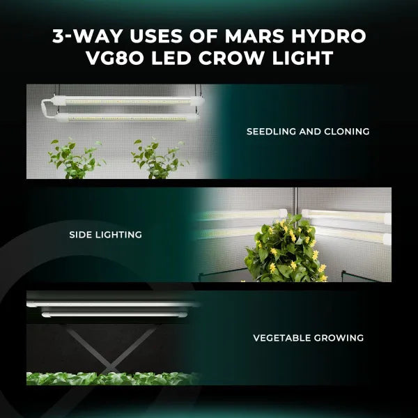 Lampes de culture LED T5 Mars Hydro VG80 pour semis, clonage et végétation