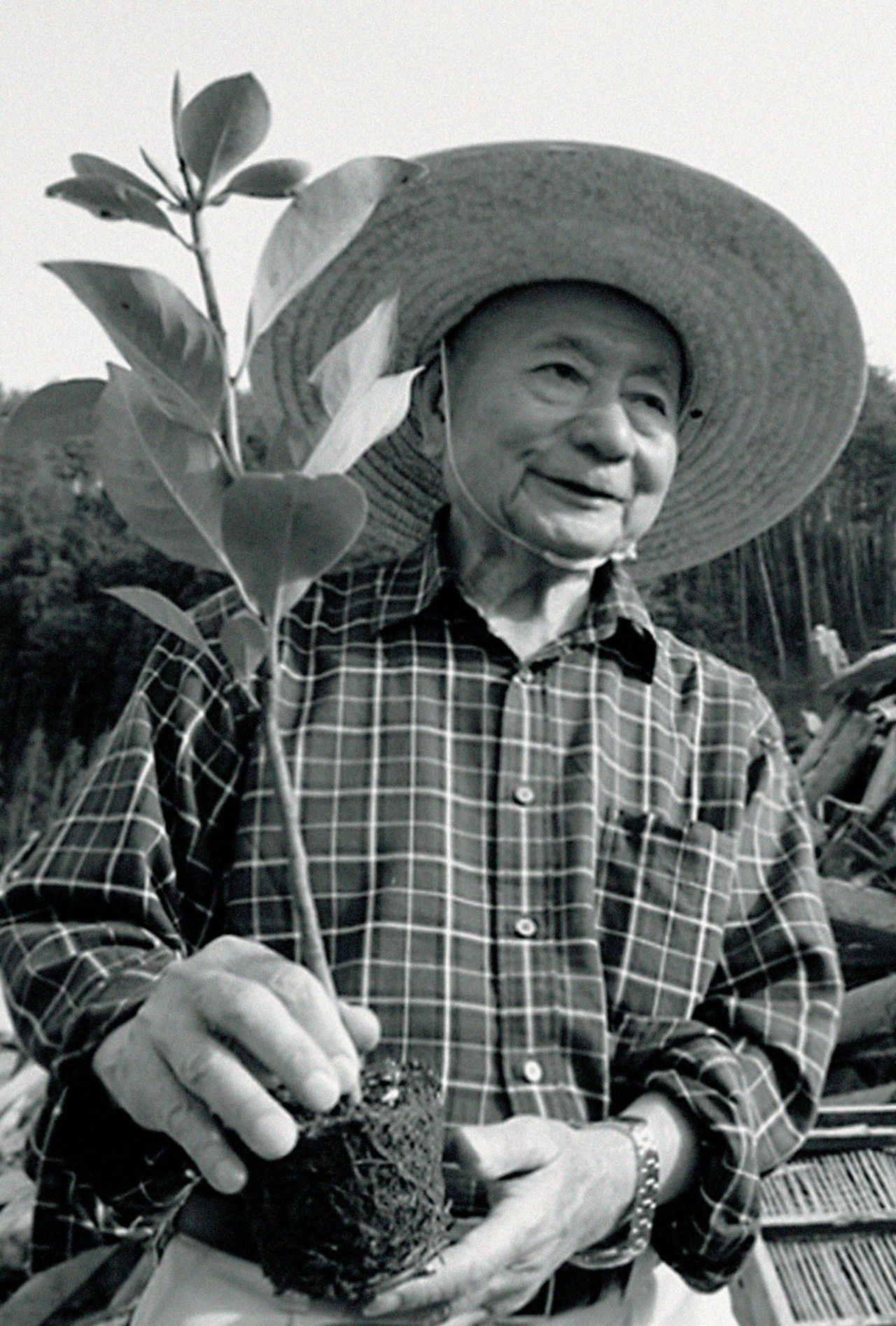 Professor Akira Miyawaki