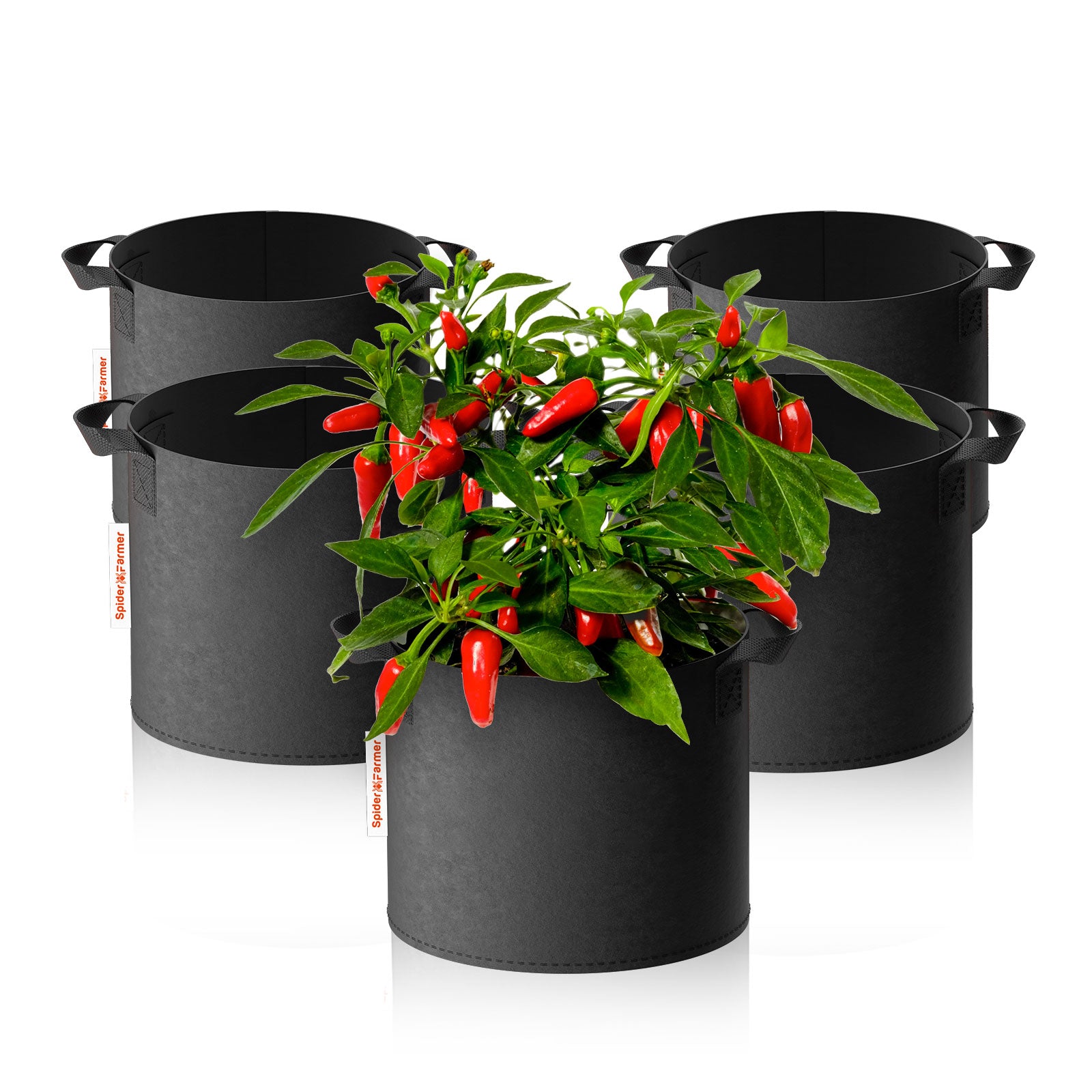 5 x 11 gallon grow bags Heavy Duty 300G Thickened Nonwoven Plant Fabric Pots with Handles