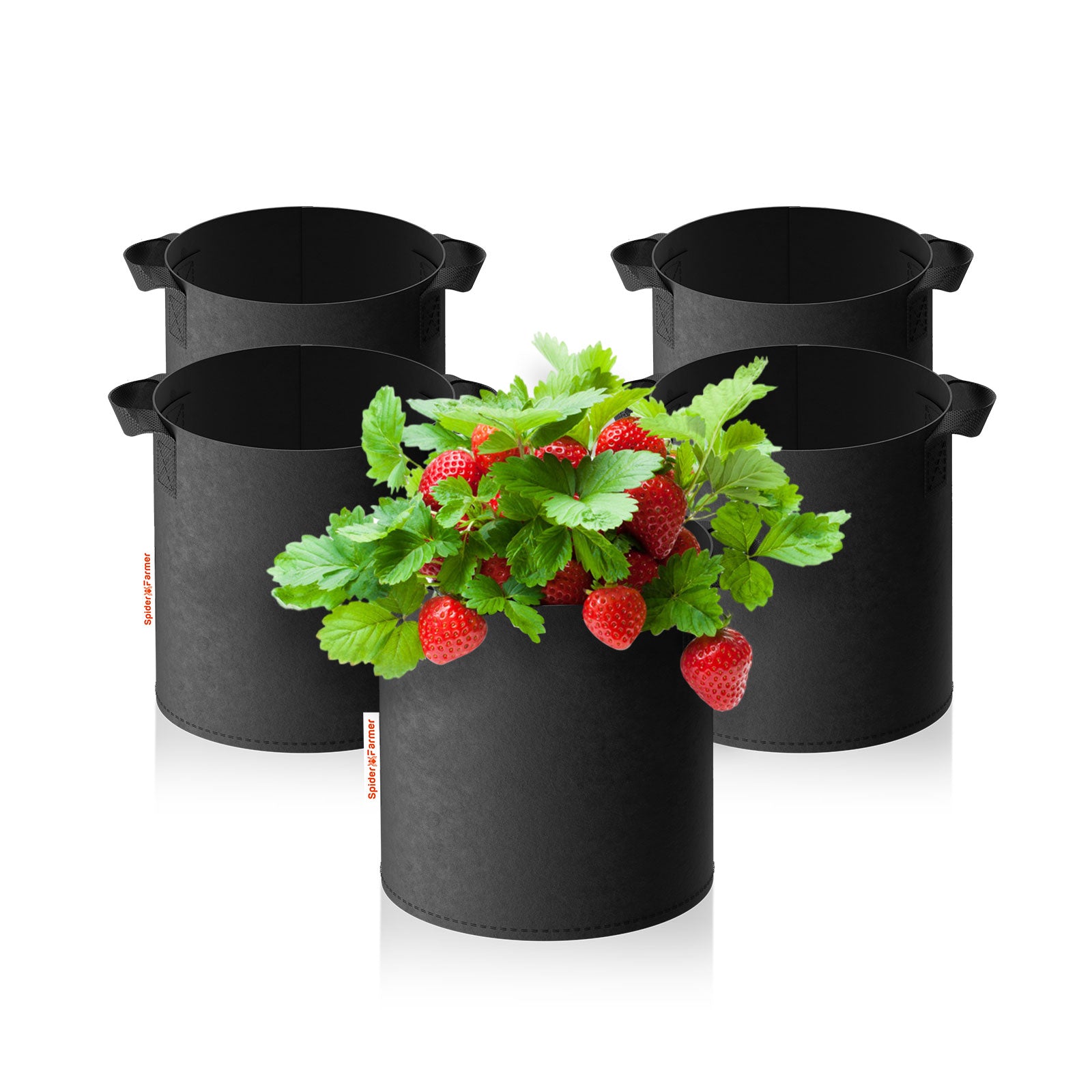 5 x 5 gallon grow bags Heavy Duty 300G Thickened Nonwoven Plant Fabric Pots with Handles